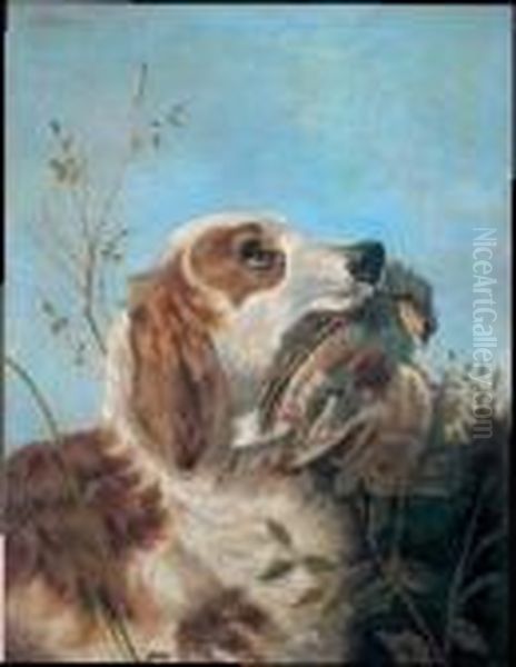 Cane Da Caccia - view 1