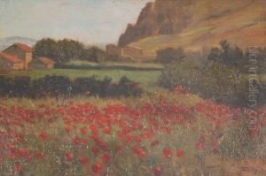 Campo Di Papaveri by Lorenzo Cecconi