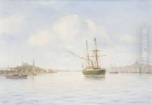 Inloppet Till Stockholm by Per Wilhelm Cedergren
