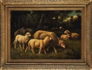 Agneaux Et Leurs Meres Dans Le Pre by Charles Ferdinand Ceramano