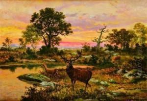 Cerf Pres De La Mare Belle Croix by Charles Ferdinand Ceramano