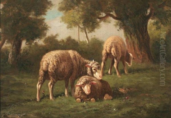 Moutons Au Paturage - view 1