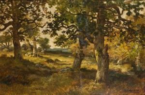 Foret De Fontainebleau by Charles Ferdinand Ceramano