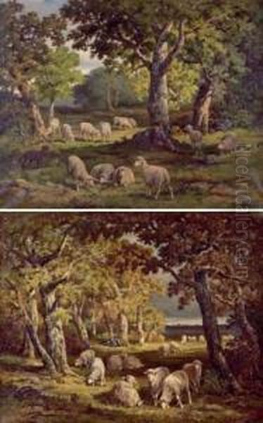 Troupeau De Moutons Dans Un Sous-bois - view 1