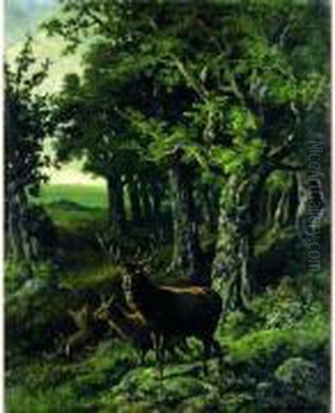 Le Cerf - view 1