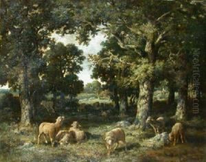 Grazing Sheep In The Shade Of The Forest by Charles Ferdinand Ceramano