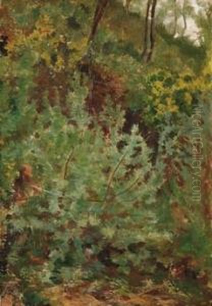 Il Bosco - view 1