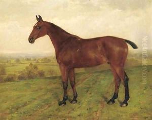 A bay hunter in a landscape