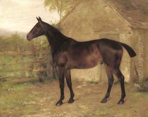 A liver chestnut hunter in a stable yard