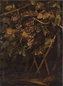 Un Cep De Vigne by Michelangelo Cerqouzzi