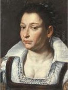 Portrait Of A Lady, Bust-length, In A White Blouse With A Ribbon In Her Hair by Giacomo Ceruti (Il Pitocchetto)