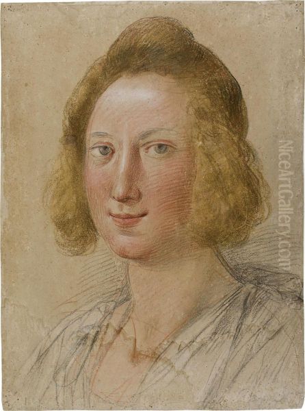 Head Of A Young Boy - view 1