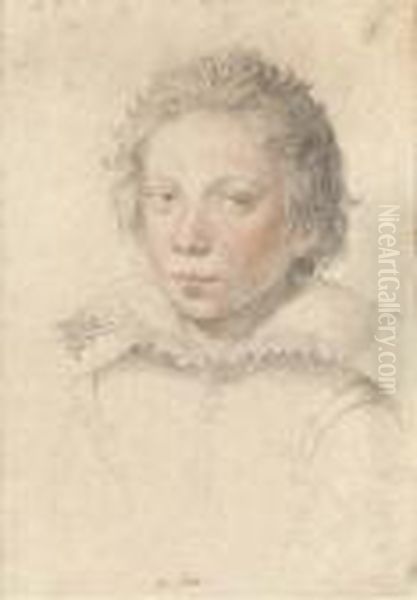 Portrait Of A Boy, Bust-length, Wearing A Lace Collar - view 1