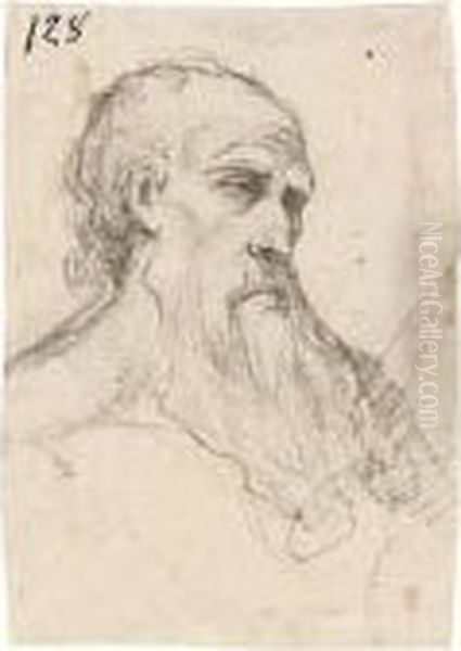 Head Of A Bearded Man - view 1