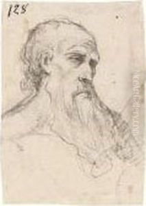 Head Of A Bearded Man by Giuseppe Cesari
