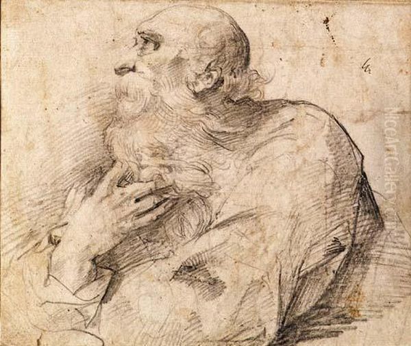 A Bearded Saint Turned To The Left - view 1