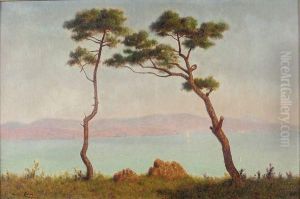 Vue Desaint-aygulf by Maurice Chabas