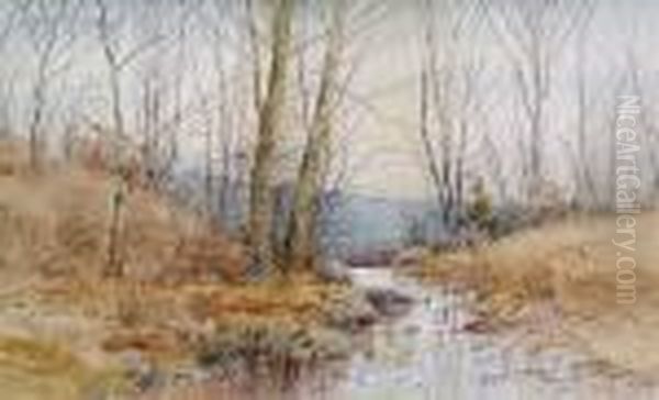 Autumn Brook - view 1