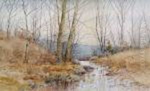 Autumn Brook Autumn Brook