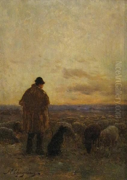 A Shepherd And His Flock - view 1