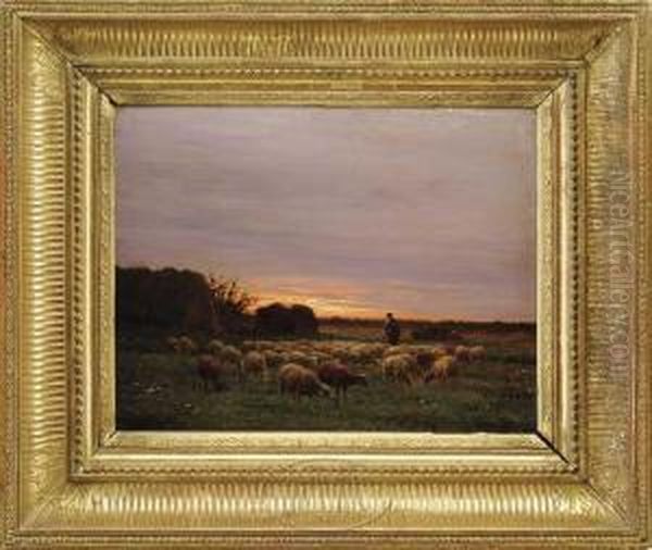 Grazing Under The Sunset - view 1