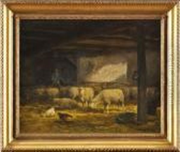 Berger Avec Ses Moutons Dans Une Etable - view 1