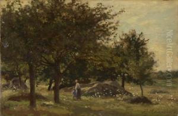 Spazierganger In Sommerlandschaft - view 1