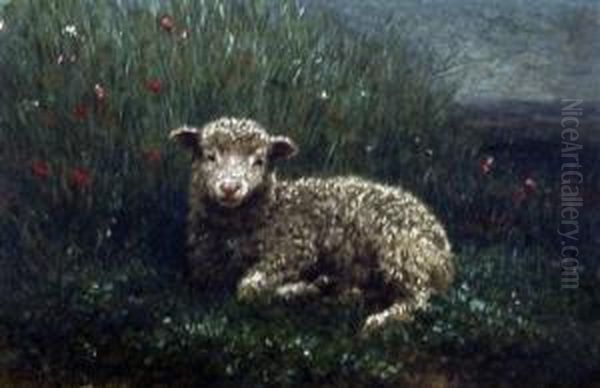 Lamb In A Poppy Field - view 1