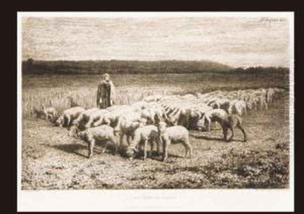 Moutons En Plaine - view 1