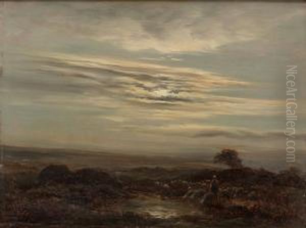Farhjord - view 1