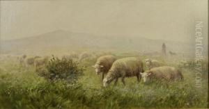 Les Moutons Les Moutons