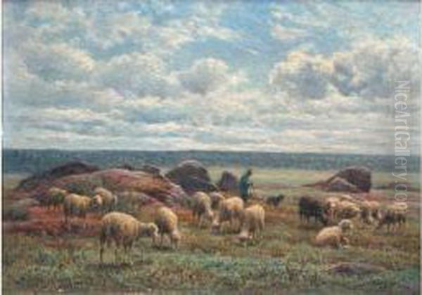 Berger Et Moutons - view 1