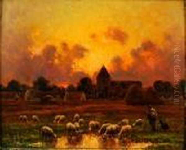 Troupeau De Moutons S'abreuvant Au Coucher De Soleil - view 1