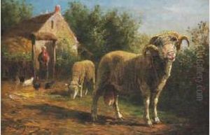 "belier Dans La Cour De Ferme".