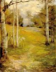 Birch Along by Hector Chalmers