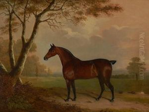 A Bay Hunter In A Landscape