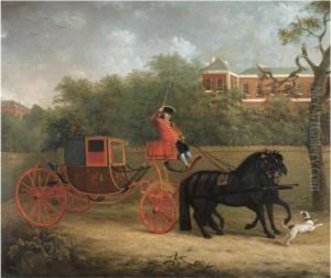 Portrait Of His Majesty's State Coach Horses