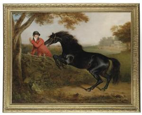 A Dark Bay Hunter Jumping A
Fence, With A Huntsman, In The Grounds Of Spye Park, Wiltshire - view 1