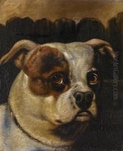 Head Study Of The Bulldog Billy; Head Study Of The Bulldog Wasp by Henry Bernard Chalon
