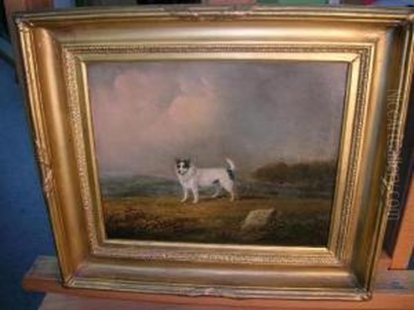 A Fox Terrier In A Highland Landscape - view 1