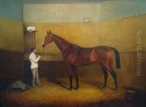 'col. Anson's Attila, Winner Of The Derby 1842 With W. Scott'