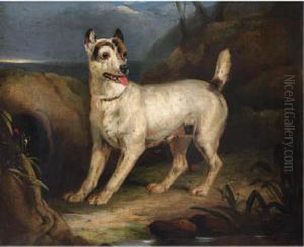 Portrait Of A Terrier In A Landscape - view 1