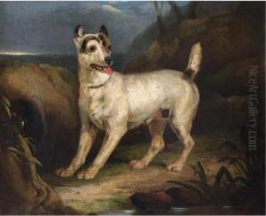 Portrait Of A Terrier In A Landscape