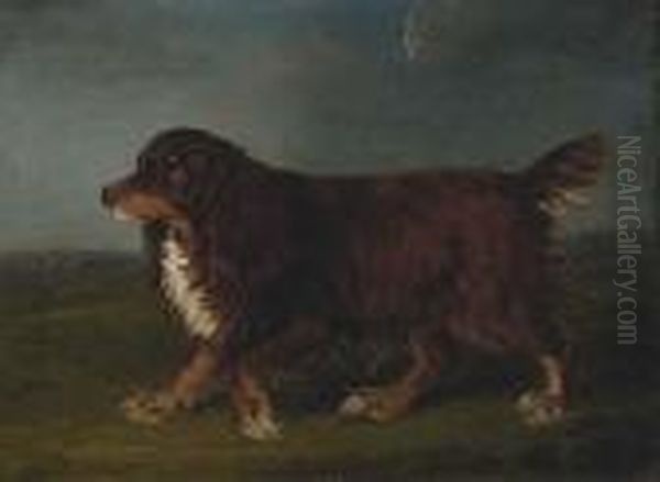 A Spaniel In A Landscape - view 1