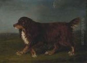 A Spaniel In A Landscape A Spaniel In A Landscape