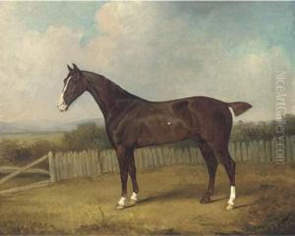 A Dark Brown Horse In A Landscape - view 1
