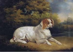 Reclining Brittany Spaniel by Henry Bernard Chalon