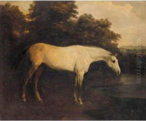 A Grey Hunter In A River Landscape; And A Bay Hunter With A Groom In A Loose Box