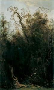 Urwald