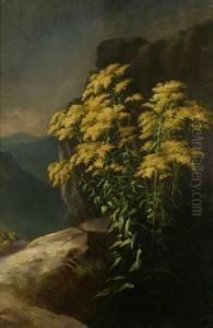 Goldenrods